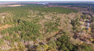 0 Camelia St, Vivian, LA 71082 - photo 2