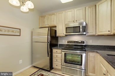 8611 Wintergreen Ct unit 301, Odenton, MD 21113 - photo 4
