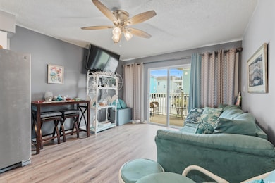 Large living room with LVP flooring.