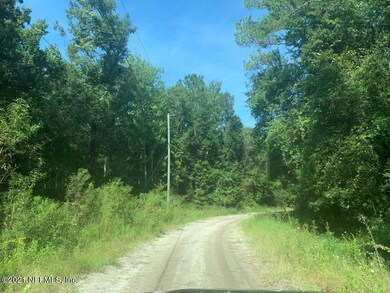 4133 Osceola Trail, Middleburg, FL 32068 - photo 5