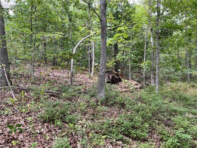 14 Oniell Ln unit 1228005, Bella Vista, AR 72715 - photo 4