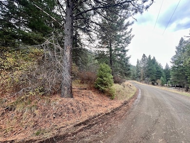 TBD Bouffard Flat Rd unit none, White Bird, ID 83554 - photo 5