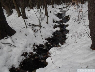 3 Hawthorne Hill Rd, New Lebanon, NY 12125 - photo 5