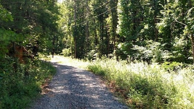 00 Dennis Mill Rd, Chatsworth, GA 30705 - photo 4