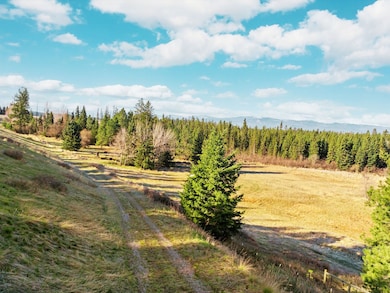 Looking further down the south entrance.