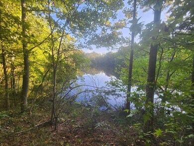 Community lake behind home
