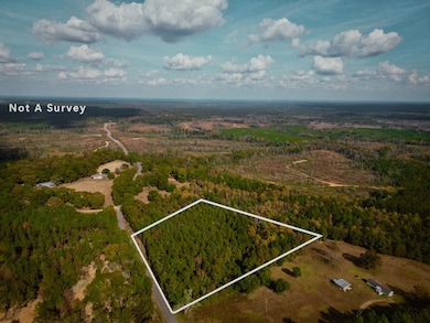 7.32 Ac Oscar Lee Rd, Poplarville, MS 39470 - photo 6