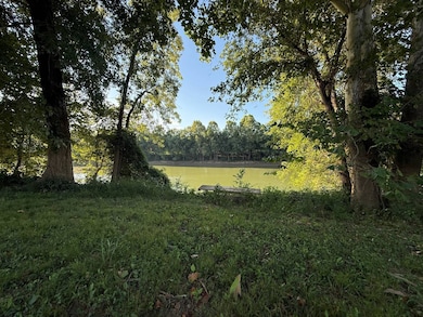 17541 Rangers Landing Rd, Calhoun, KY 42327 - photo 5