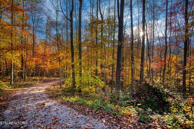 1192 Shellotte Loop, Pall Mall, TN 38577 - photo 5