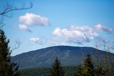 57 Ridges Way unit 201E, Peru, VT 05152 - photo 4