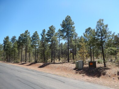 Level lot in Premier Neighborhood
