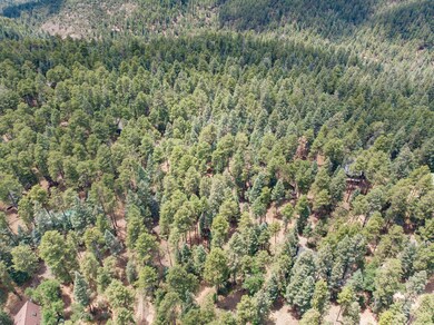 DJI_0767