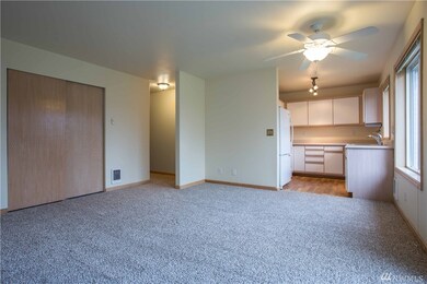 4226 Wintergreen Cir unit 295, Bellingham, WA 98226 - photo 4