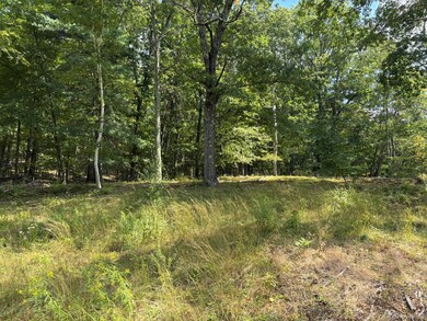 42 E Pond Lilly Rd, Ancram, NY 12502 - photo 4