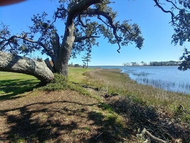 188 Gibbs Creek Rd, Beaufort, NC 28516 - photo 2