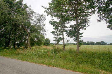 9508 S 10th St, Schoolcraft, MI 49087 - photo 2