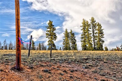 6206 Remington Rd, Como, CO 80432 - photo 4