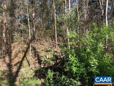 0 Rockfish Woods Cir unit 651445, Scottsville, VA 24562 - photo 4