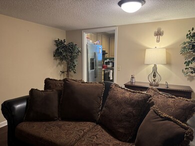 Living Room Fireplace