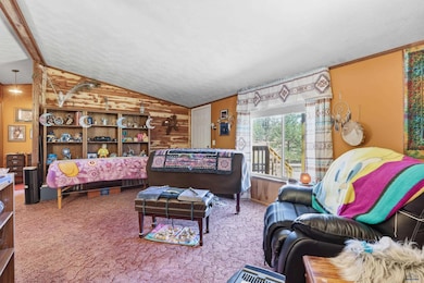 25564 Old Cabin Rd, Edgemont, SD 57735 - photo 4