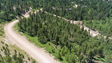 Lot 102 Paradise Gulch Ln unit Paradise Acres IV, Lead, SD 57754 - photo 5