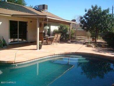 21 Backyard