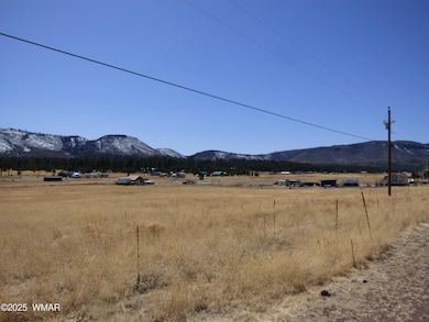 34 CR 2100 Alpine (4)