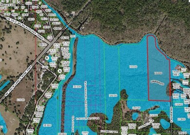 Property Appraiser Map with Wetlands Overlay