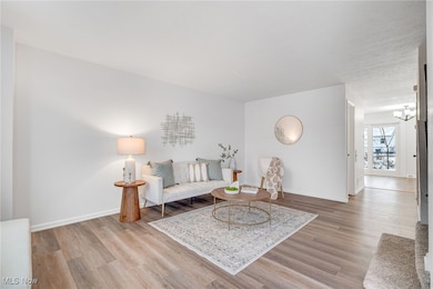 37366 Euclid Ave, Willoughby, OH 44094 - photo 4