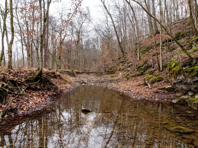 0 Shelter Branch Rd, Cumberland Furnace, TN 37051 - photo 7