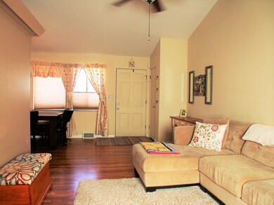 Polished Hardwoods