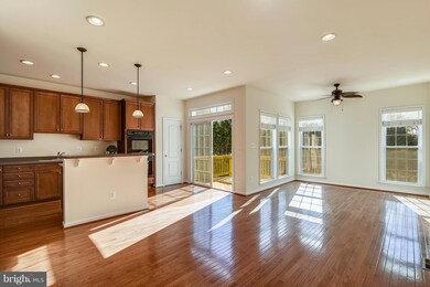 42019 Bushclover Terrace, Stone Ridge, VA 20105 - photo 6