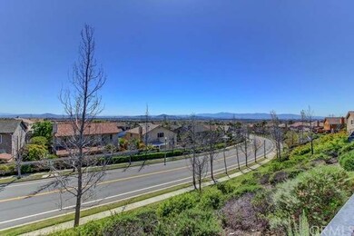 View from the Backyard