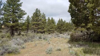 0 23 Council Butte unit 102976399, Beatty, OR 97621 - photo 3