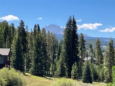 View across open space to Guyot peak