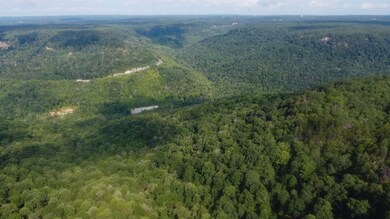 0 Partin Farm Rd unit RTC2908498, Tracy City, TN 37387 - photo 4