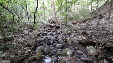 0 Brush Leaf Ln unit VASH121548, Mount Jackson, VA 22842 - photo 5