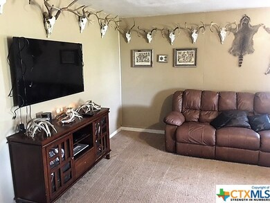 2962 Hobby Creek Rd, Burlington, TX 76519 - photo 3