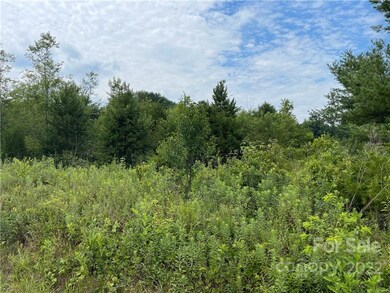 00 Damascus Church Rd, Statesville, NC 28625 - photo 3