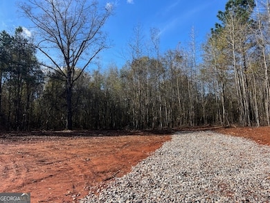 146 Berry Rd, Barnesville, GA 30204 - photo 2