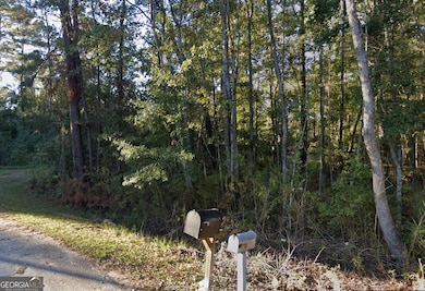 3 ACRES Lewis Ln SW, Eulonia, GA 31331 - photo 5