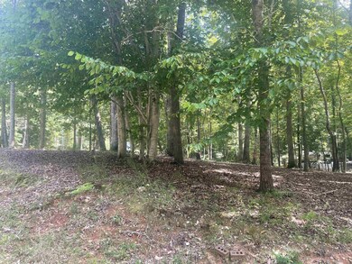 103 Chama Dr, Louisburg, NC 27549 - photo 3