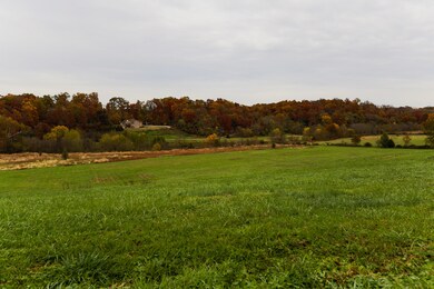 IMG_2802