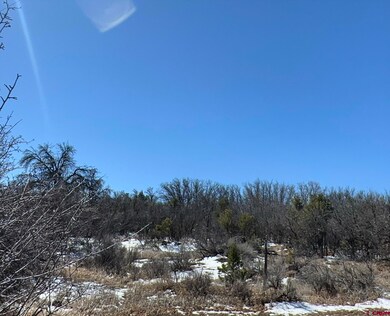 TBD Hwy 491, Pleasant View, CO 81331 - photo 3