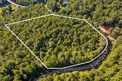 3.99 AC Sweetwater Dr, Clarkesville, GA 30523 - photo 3