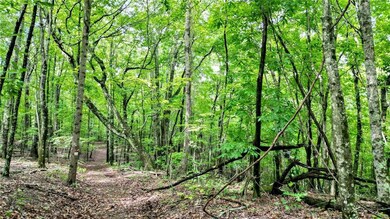 TractA Clark Dr, Jasper, GA 30143 - photo 7