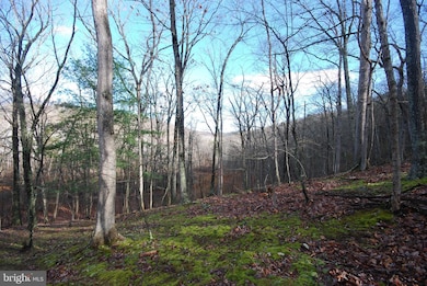 Lot 70 & 71 Mill Mountain Rd, Romney, WV 26757 - photo 4