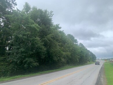 0 King Rd unit 132709, Tifton, GA 31793 - photo 3