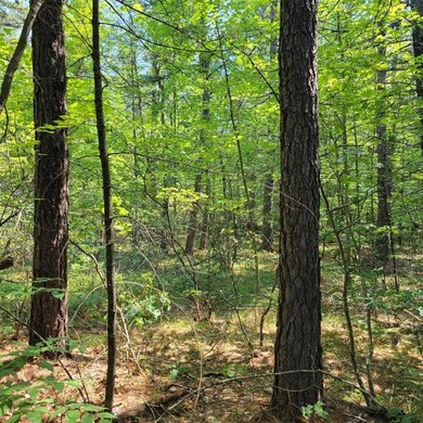 0 York Ln unit 25 4873957, Freedom, NH 03836 - photo 7