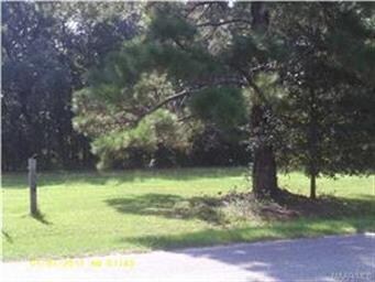 Front of lot